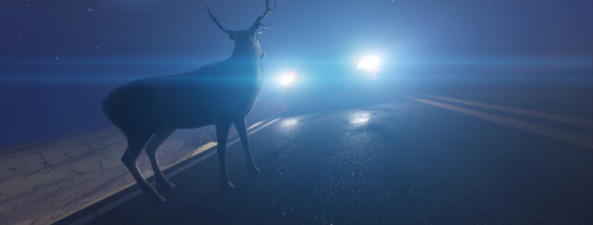 It’s important to plan ahead so you know how to drive safely and avoid deer collisions.